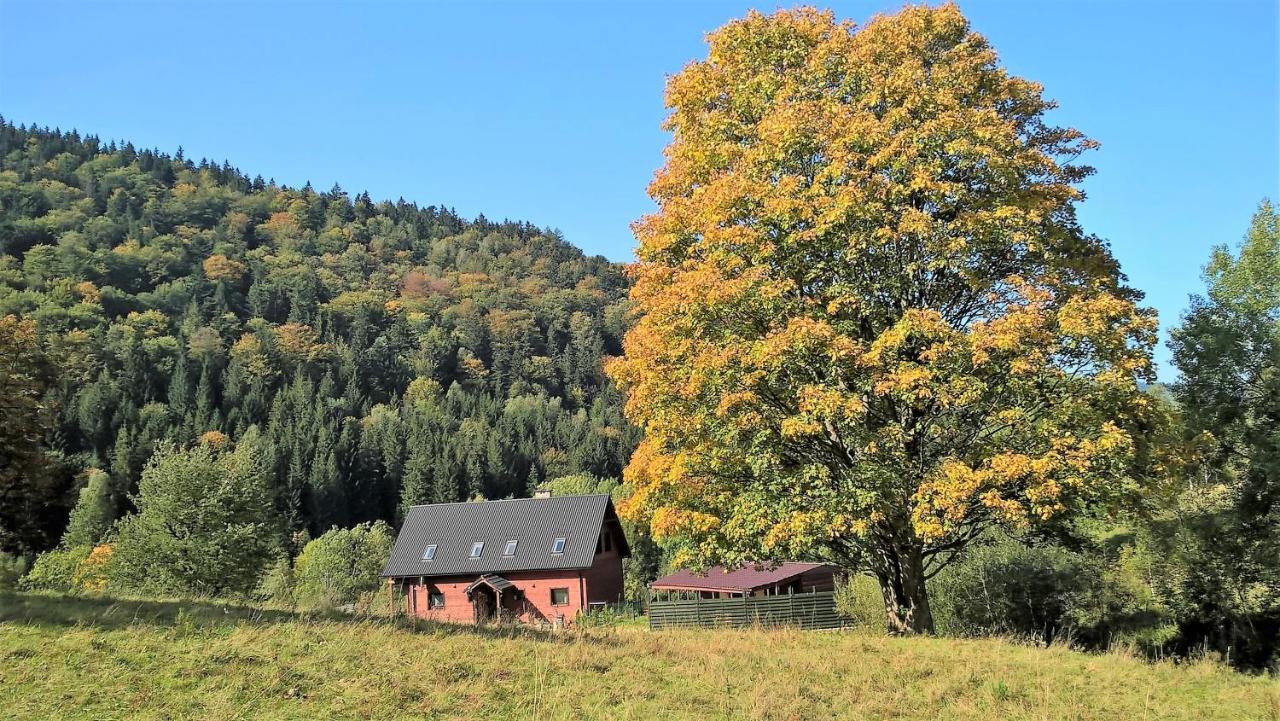 Krolikowka Stronie Śląskie Dış mekan fotoğraf