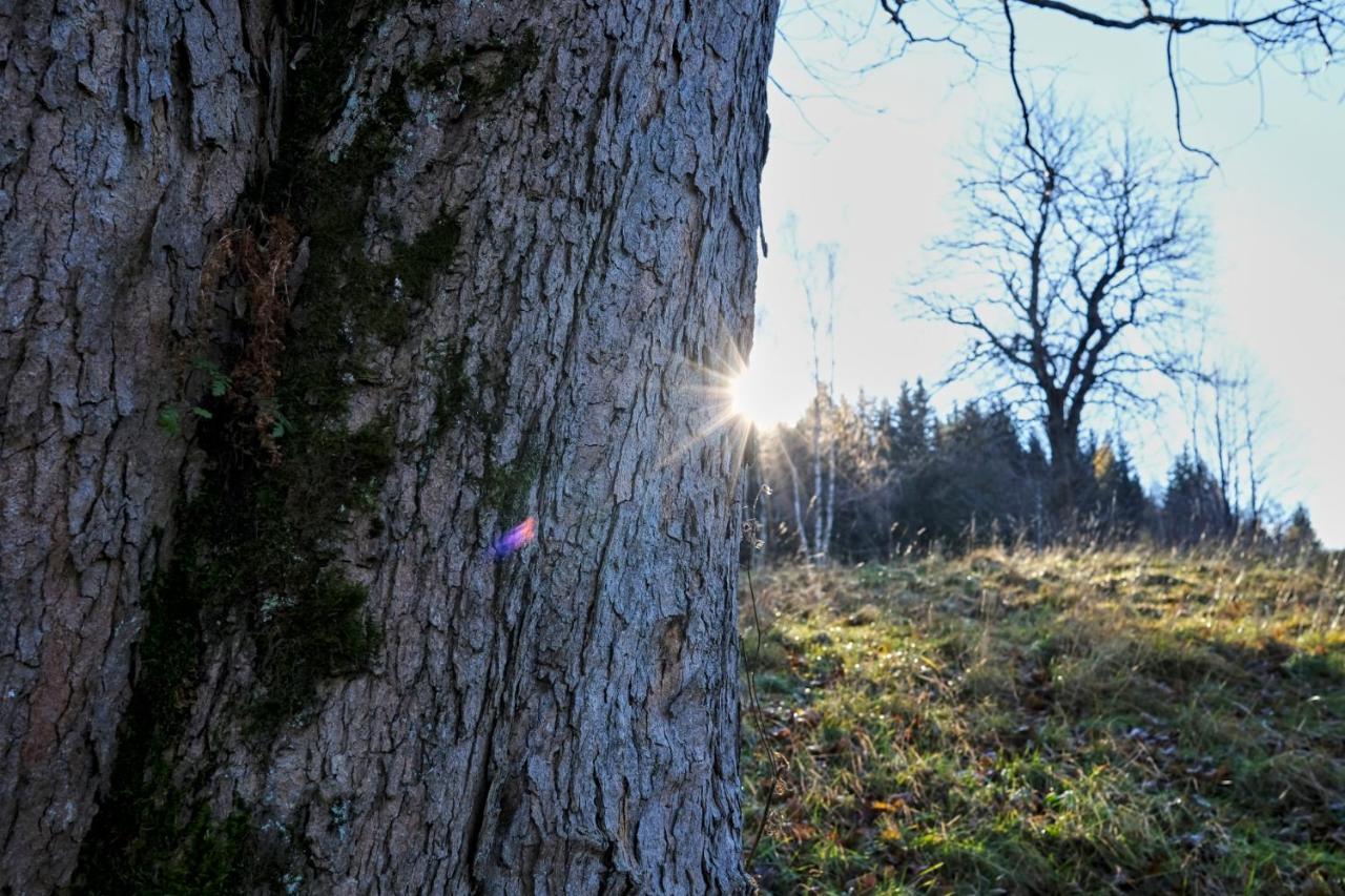 Krolikowka Stronie Śląskie Dış mekan fotoğraf