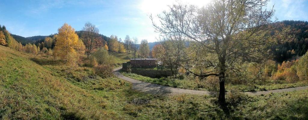 Krolikowka Stronie Śląskie Oda fotoğraf